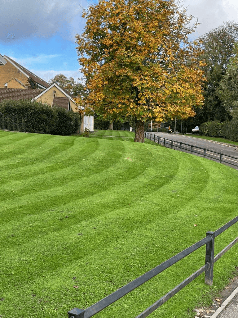 Garden maintenance and landscaping work