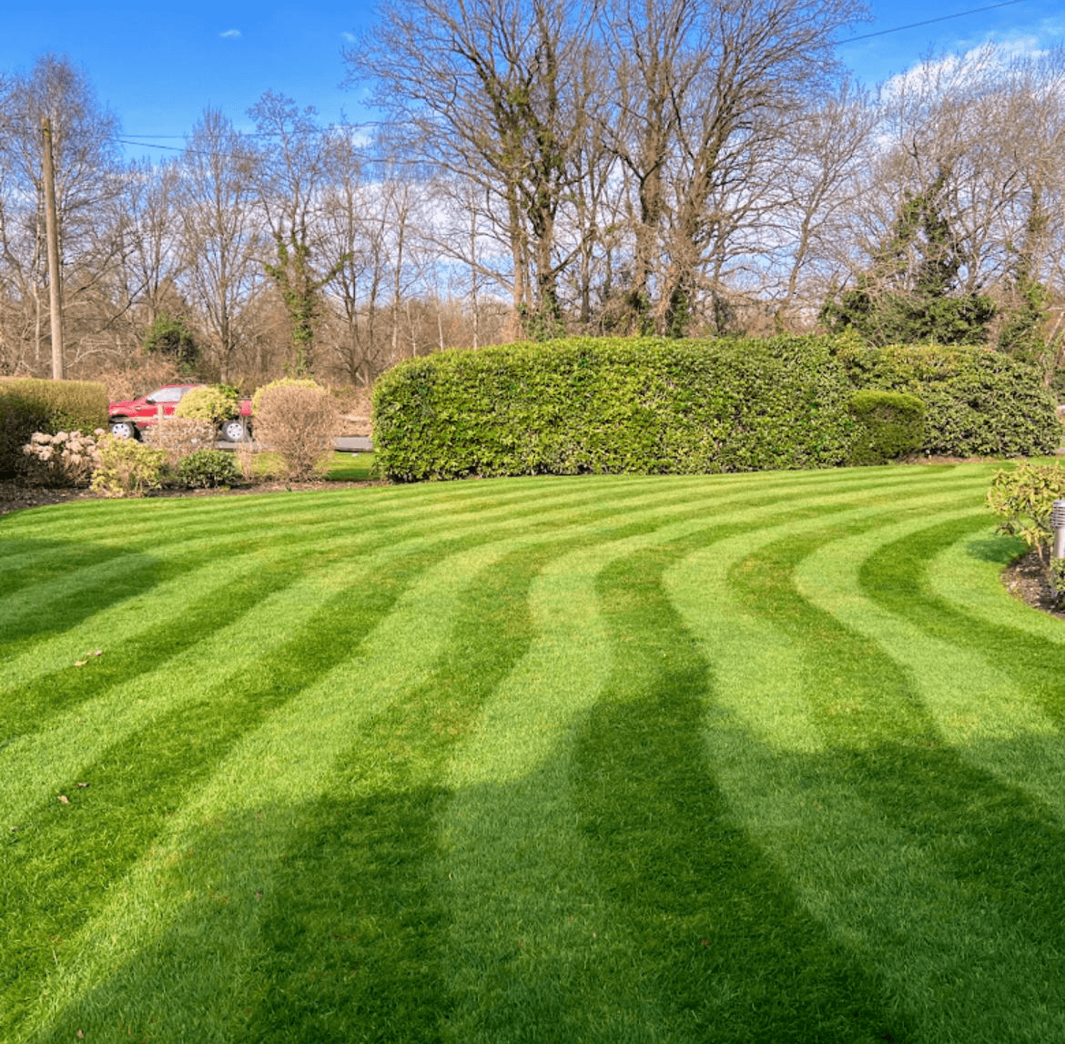 Garden maintenance and landscaping work